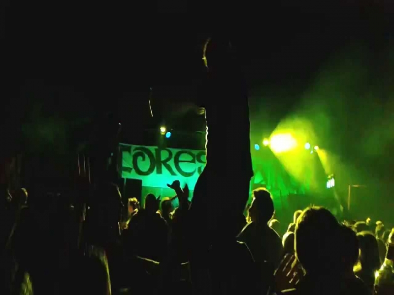 Forestland 2016 EDM
